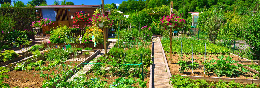 Avoir un potager